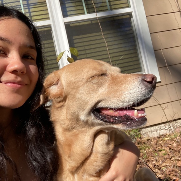 Meet your Posher, Melissa - Picture 1 of 1